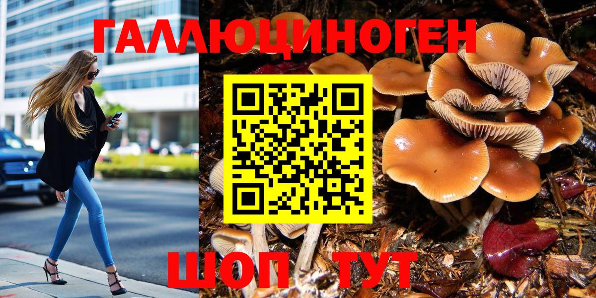 Ростов-на-Дону  Псилоцибиновые грибы MAGIC MUSHROOMS  Вход с VPN 